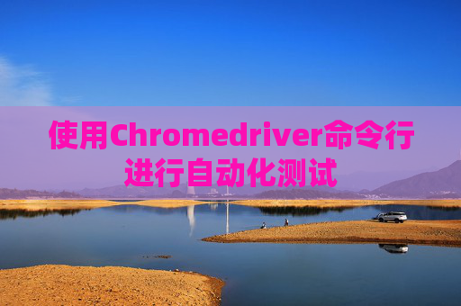 使用Chromedriver命令行进行自动化测试